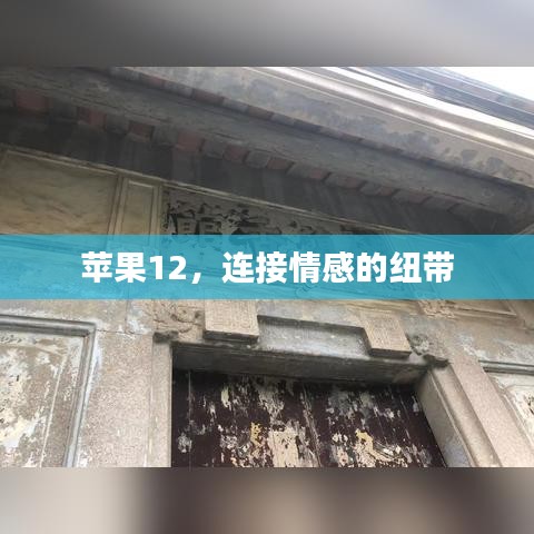 苹果12，情感连接的桥梁