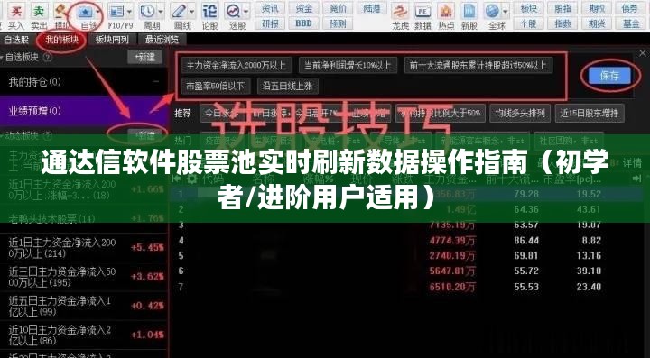 通达信软件股票池实时数据刷新操作指南，适合初学者与进阶用户