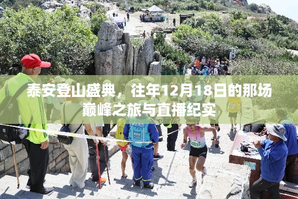 泰安登山盛典，巅峰之旅与直播纪实回顾