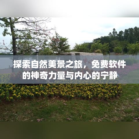 自然探索之旅，免费软件的魅力与心灵宁静的追寻