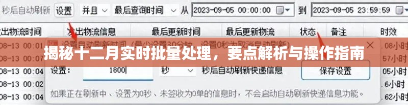 揭秘十二月实时批量处理操作指南及要点解析