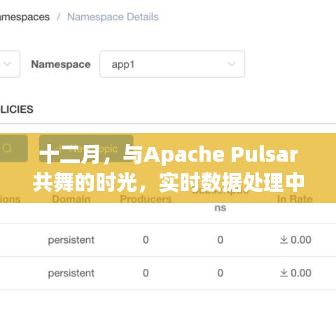 十二月实时数据处理之旅，与Apache Pulsar共舞的时光