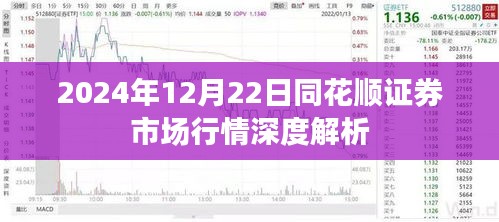 同花顺证券市场行情深度解析，2024年12月22日市场走势分析