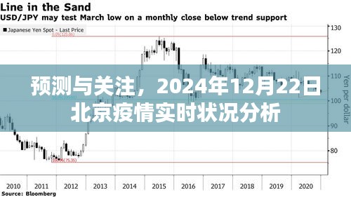 北京疫情预测与实时状况分析，聚焦2024年12月22日的最新动态