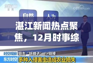 湛江新闻热点聚焦，12月时事综述报告