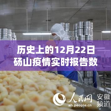 历史上的12月22日砀山疫情数据回顾与实时洞察报告