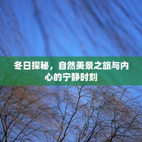 冬日探秘之旅，自然美景与内心宁静的交融时刻