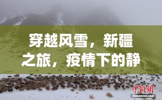 新疆之旅，穿越风雪，疫情下的自然探索与静谧对话