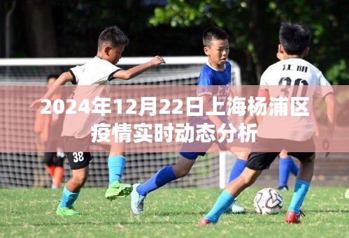 上海杨浦区疫情实时动态分析（2024年12月22日更新）