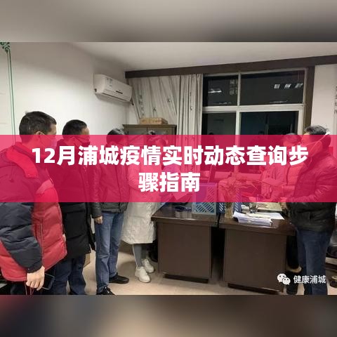 浦城疫情实时动态查询指南，12月最新步骤解析