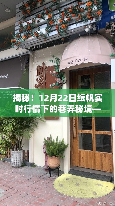 揭秘，特色小店独特风情——巷弄秘境纭帆实时行情下的故事（12月22日）