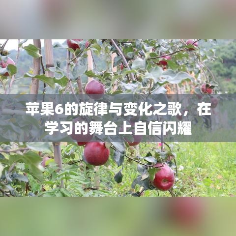 苹果6旋律与变化之歌，学习舞台上的自信闪耀