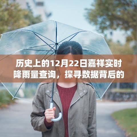 历史上的12月22日嘉祥实时降雨量数据揭秘，探寻降雨背后的故事