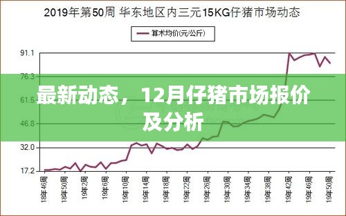 12月仔猪市场最新报价及分析概览