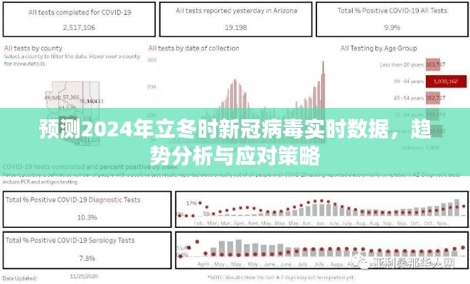 2024年立冬新冠病毒实时数据预测，趋势分析与应对策略探讨