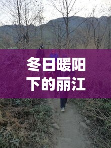 丽江公交之旅，冬日暖阳下的时光与友情相伴之旅