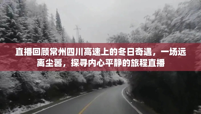 常州四川高速冬日奇遇，探寻内心平静的旅程直播回顾