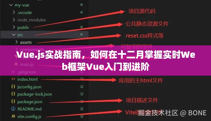 Vue.js实战指南，从入门到进阶，掌握实时Web框架Vue在十二月的学习攻略