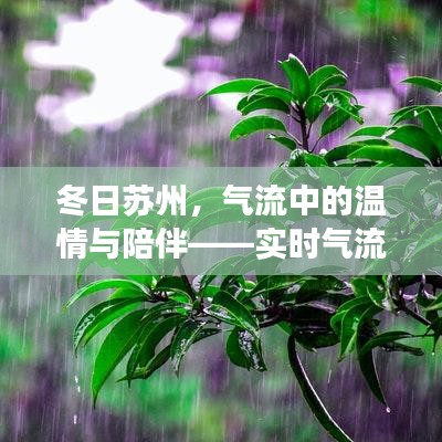 阿胶究竟有哪些功效 第3页