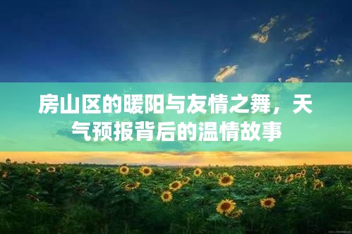 房山区天气预报背后的暖阳与友情之舞