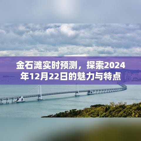 金石滩未来探索，揭秘2024年12月22日的独特魅力与特点