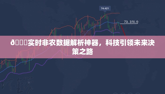 实时非农数据解析神器，科技引领决策未来之路