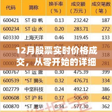 初学者与进阶用户必备，12月股票实时价格成交从零开始的实战指南