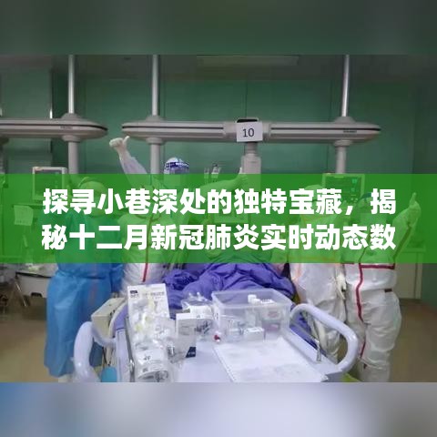 探寻小巷深处的独特宝藏，十二月新冠肺炎实时动态数据背后的故事揭秘