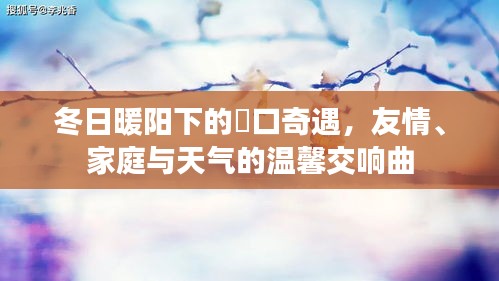 冬日暖阳下的硚口温情，友情、家庭与天气的美妙交织