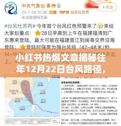 揭秘往年台风路径，小红书热爆文章探讨河南是否遭遇台风袭击？