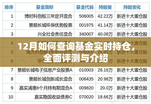 12月基金实时持仓查询指南，全面评测与介绍