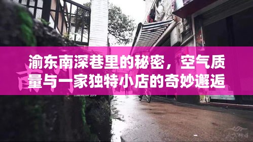 渝东南深巷中的独特小店与奇妙空气质量邂逅之旅