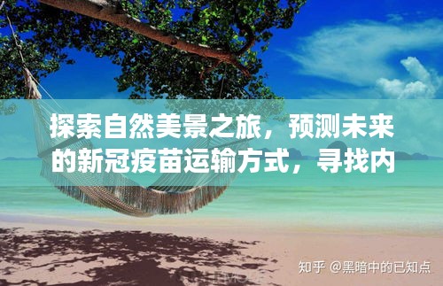 自然探索之旅与未来新冠疫苗运输方式预测，寻找心灵宁静之地