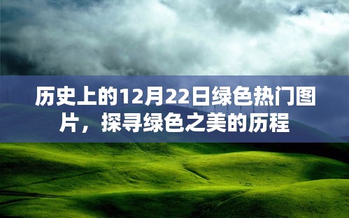 探寻绿色之美的历程，历史上的绿色热门图片回顾（12月22日）