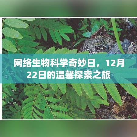 网络生物科学奇妙日，温馨探索之旅启程于12月22日