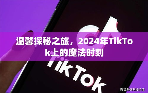 TikTok魔法时刻，温馨探秘之旅开启，2024年精彩纷呈的探秘之旅开启！