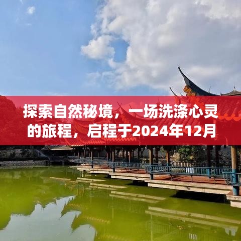 启程，探索自然秘境的心灵之旅，2024年12月22日启航