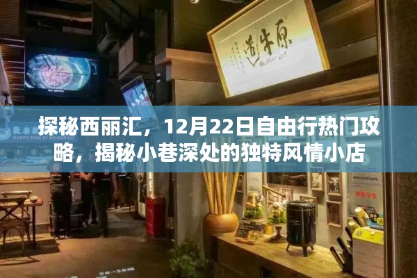 探秘西丽汇，12月22日自由行攻略，小巷风情小店揭秘