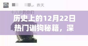 历史上的12月22日热门训狗秘籍深度解析与全方位指南