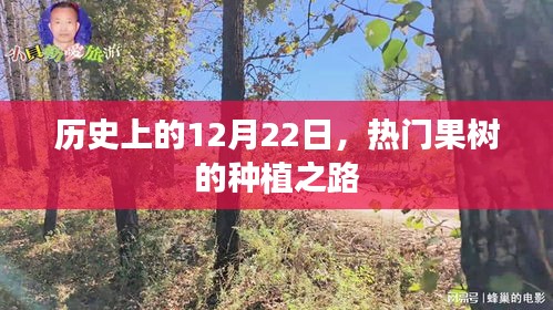 历史上的12月22日，热门果树种植之路启程