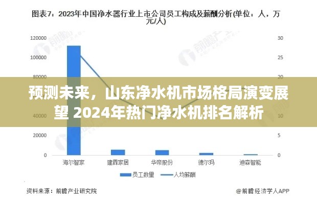 山东净水机市场未来格局演变预测及热门净水机排名展望（2024年解析）