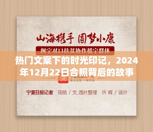 时光印记下的合照故事，热门文案背后的故事，定格于2024年冬日的印记