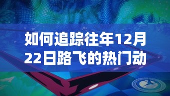 追踪路飞热门动态的实用指南，从初学者到进阶用户如何追踪往年12月22日动态详解