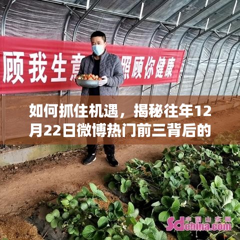 揭秘往年微博热门背后的秘密，抓住机遇，学习变化带来的自信与成就感之路