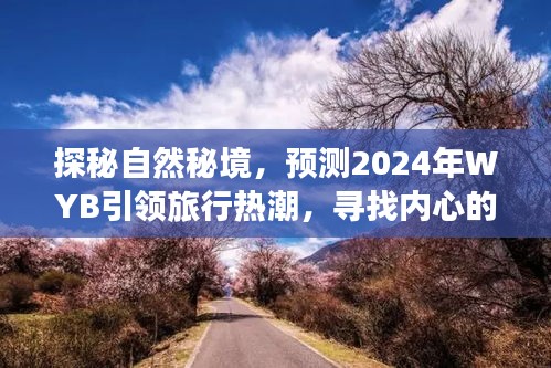 探秘自然秘境，WYB引领2024旅行热潮，寻找心灵桃花源之旅