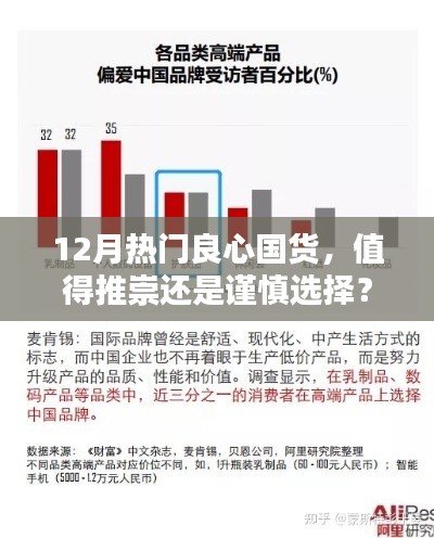 12月热门良心国货，推崇还是谨慎选择？