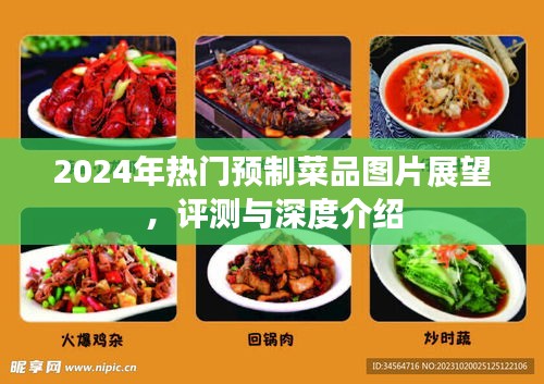 2024年热门预制菜品展望，图片评测与深度介绍