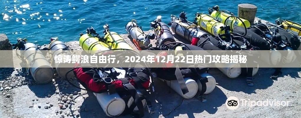 惊涛鳄浪自由行，揭秘热门攻略，畅游2024年12月22日