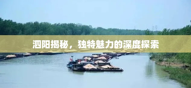 泗阳揭秘，独特魅力的深度探索