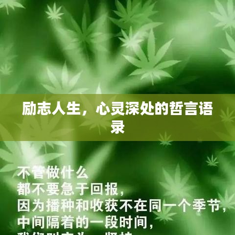 励志人生，心灵深处的哲言语录